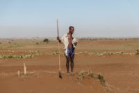 A village leader in drought-stricken southern Madagascar looks at the dry ground where plants used to grow.