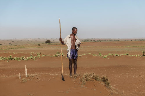 A village leader in drought-stricken southern Madagascar looks at the dry ground where plants used to grow.