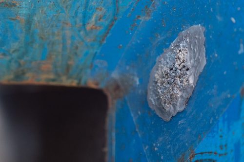 Egg casings from a spotted lanternfly found on the metal surface of a dumpster.