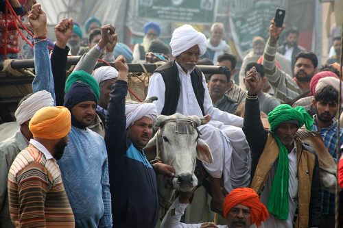 Farmers' Protest at Tikri Border, January 2021.