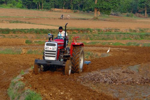 A farmer in India plows his field with a tractor even as another in a field behind his does the same with a pair of oxen. An Indian heron in the vicinity of the tractor is foraging in the freshly plowed earth for worms