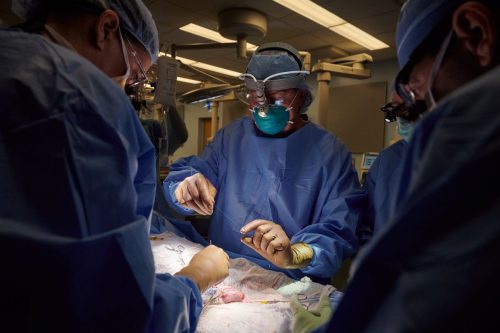 Dr. Robert Montgomery, the H. Leon Pachter, MD, Professor and chair of the Department of Surgery at NYU Langone and director of its Transplant Institute, prepares sutures for use in the xenotransplantation surgery.