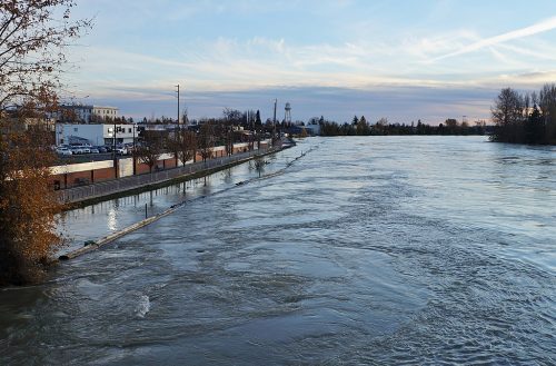 Looking south from the SR 536 bridge in downtown Mount Vernon, Washington, at the Skagit River during the November 2021 floods.