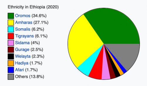Pie chart showing major ethnic groups in Ethiopia