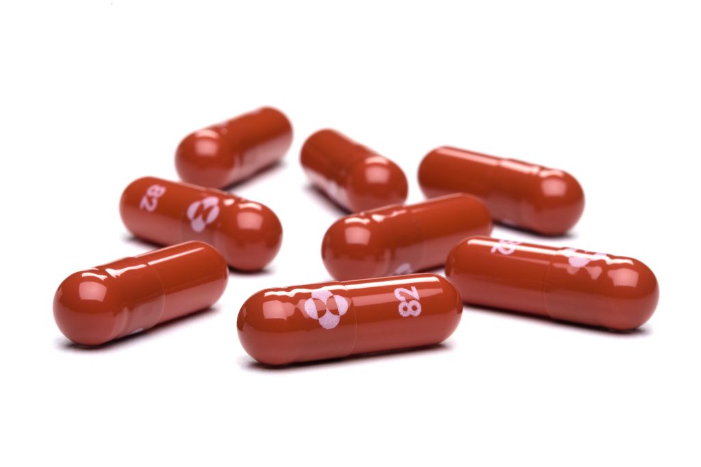 Merck's new antiviral Covid-19 treatment, molnupiravir. Red pills on a white background.
