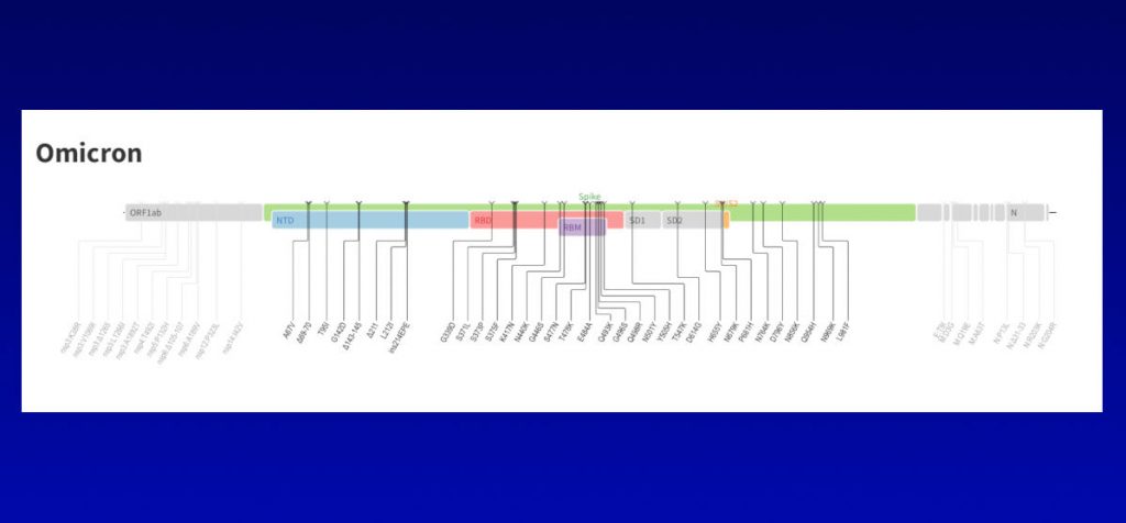 Labeled diagram of the Omicron variant, showing all of its mutations.