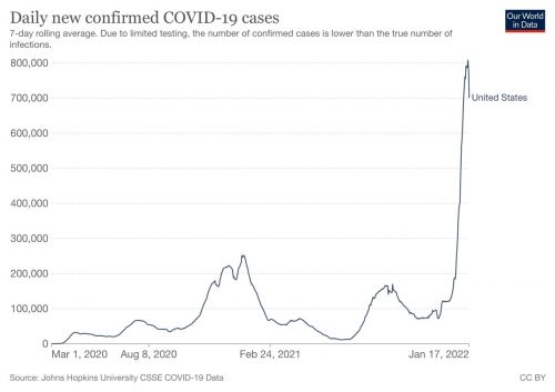 Graph showing daily number of confirmed cases in the US, March 1, 2020-January 17-2022.