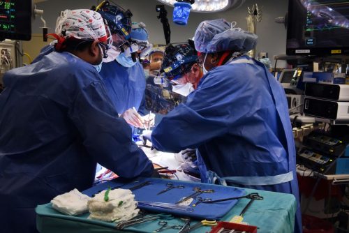 Medical team performing the first transplant of a pig heart into a human.