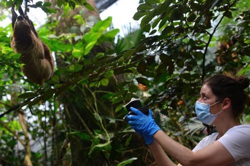 Associate Prof Kristine Bohmann of the University of Copenhagen collects air samples.