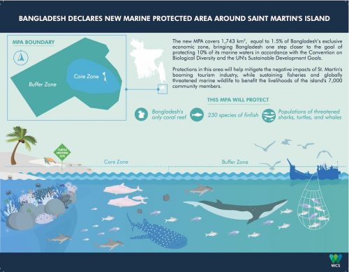 Infographic giving an overview of the new St. Martin's Island MPA.