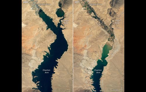 Satellite views of part of Lake Mead in 2000 (left) and in 2021 (right). In 2021, the water has disappeared from the entire upper half of the image.
