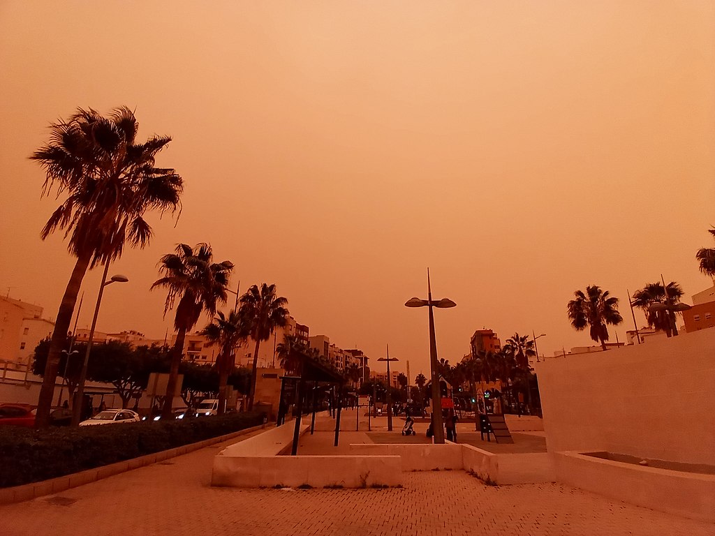 Air from the Sahara laden with dust creates a strong 'calima' in Almeria on March 14, 2022. A row of palm trees poke into an eerily orange sky as cars drive with their headlights on in midday.
