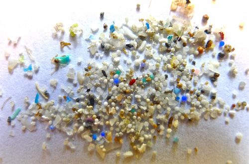 Microplastic poses a growing concern in oceans and other aquatic habitat. (Image by 5Gyres, courtesy of Oregon State University)