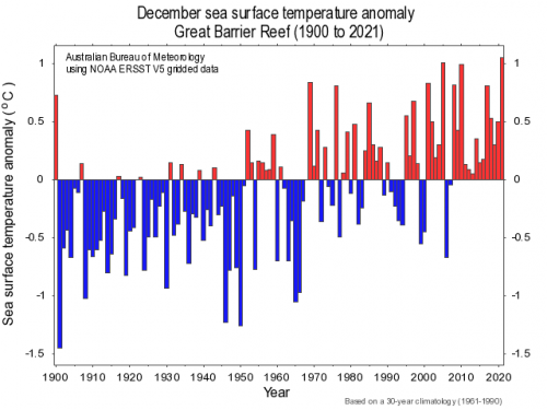 A chart showing December sea temperatures at the Great Barrier Reef from 1900 to 2022. December 2022 is the hottest.