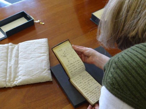 Librarian Jessica Gardner examines the "tree of life" page of Charles Darwin's missing notebooks after they were returned to the Cambridge University Library.
