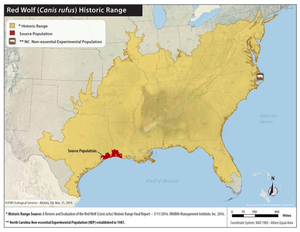 A map of the range of the Red Wolf in the past.