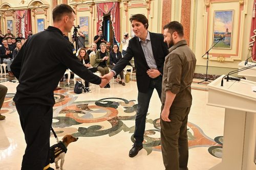 Meeting of the President of Ukraine with the Prime Minister of Canada, Misha Iliev and Patron, the bomb-sniffing dog.