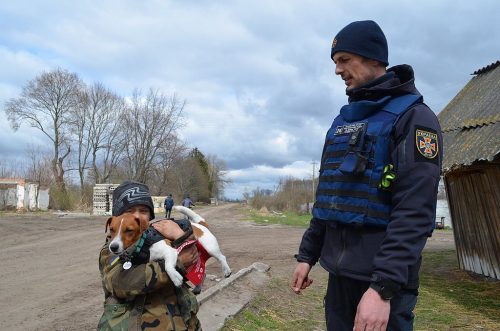 Shestovytsia village in Chernihiv Oblast of Ukraine after battle during the 2022 Russian invasion. A young boy holds the mine-sniffing dog Patron, while his owner looks on.