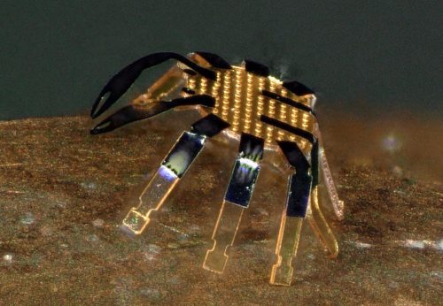 An extremely magnified view of tiny crab-shaped robot on the side of a penny.