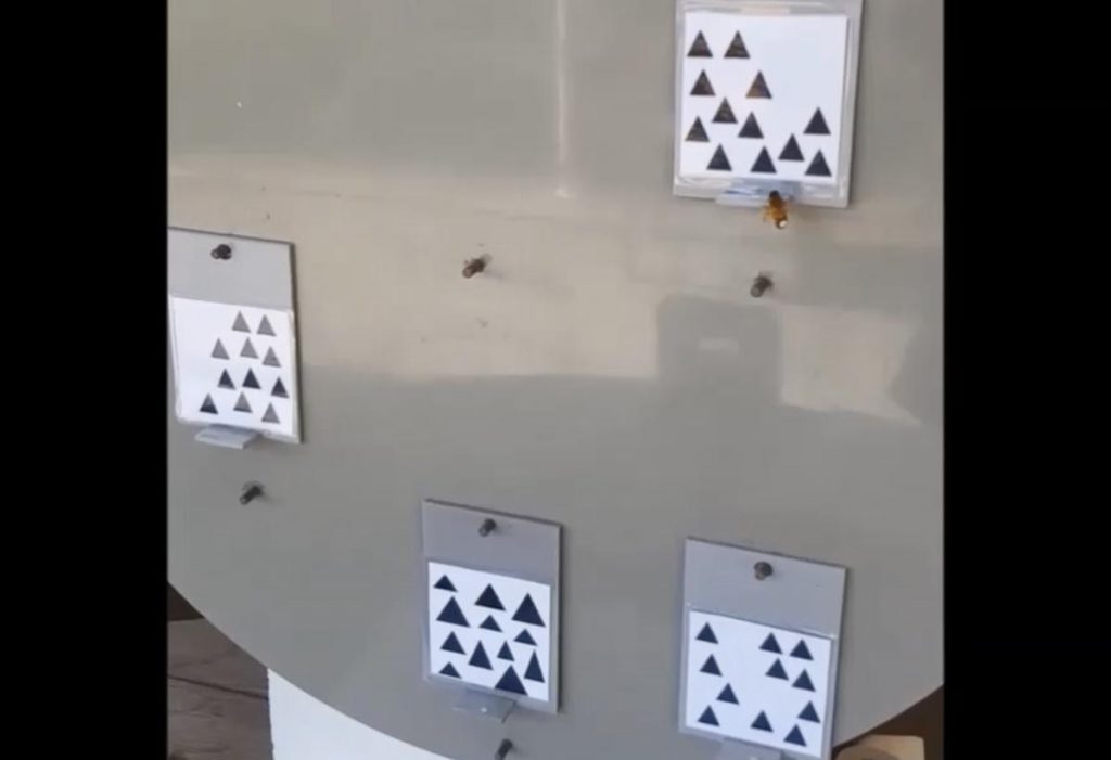 A bee successfully finds a card showing an even number during an experiment.