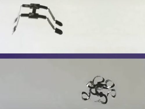 Two different styles of tiny robots developed by the scientists are seen in this screenshot from a Northwestern University video.