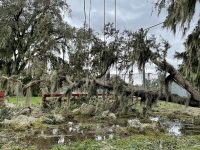 Downed trees and power lines in Bartow, FL following Hurricane Ian, 2022-09-29.