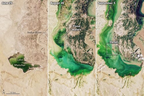A series of satellite images taken on June 25, August 28, and September 5, 2022 show how Pakistan's Lake Manchar is overflowing.