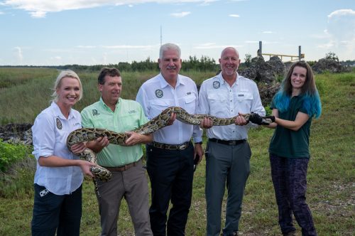 Five people hold a very long Burmese python.