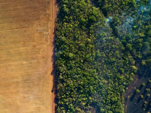 Aerial view of a harvested corn field and forest under the haze of smoke from uncontrolled forest fires in Brazil.