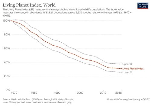 Graph showing 69% average drop in wildlife populations between 1970 and 2018.