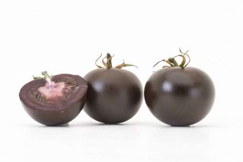 GMO purple tomatoes engineered by Norfolk Plant Sciences.