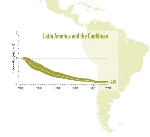 Image showing 94% decline in average wildlife population between 1970 and 2018 in Latin America and the Caribbean superimposed on a map of the region.