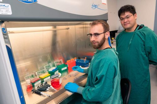 Cortical Labs Chief Scientific Officer, Dr Brett J. Kagan (seated), and Chief Executive Officer, Dr Hon Weng (standing).