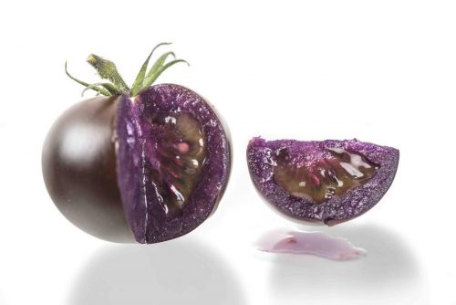 GMO purple tomato engineered by Norfolk Plant Sciences, cut to show the inside.