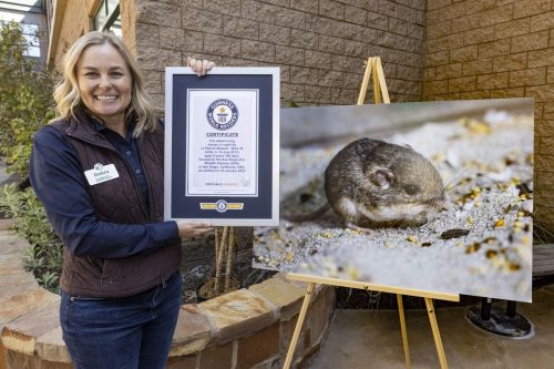 Debra Shier of the San Diego Zoo Wildlife Alliance holds Pat's award from Guinness World Records in front of a large picture of Pat.