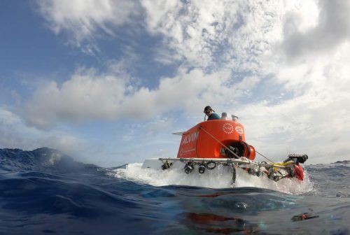 See the wonders of two newfound deep-sea coral reefs off the Galápagos