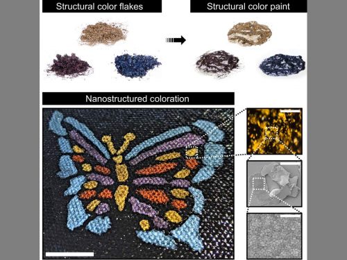An image showing structural color flakes, structural color paint, and several close-ups of a butterfly painting made with structural paint.