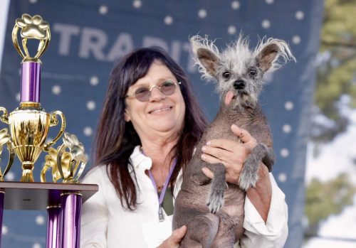 Linda Elmquist holds Scooter next to the first prize trophy for the World's Ugliest Dog.