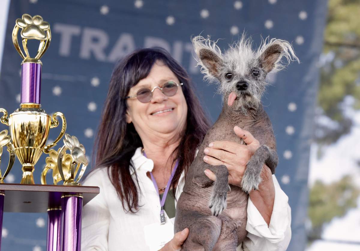 World ugliest dog contest