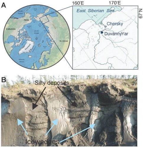 Map showing where in Siberia the sample was taken, along with a photo showing the permafrost along the riverbank.