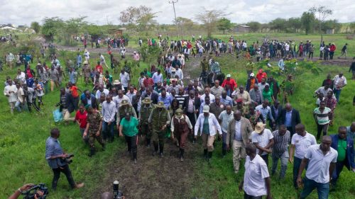 Crowd of people taking part in tree planting in Kenya as part of National Tree Growing Day.