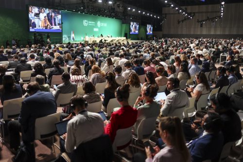 A photo showing a sea of seated attendees at the Closing Plenary at the UN Climate Change Conference COP28 at Expo City Dubai on December 13, 2023, in Dubai, United Arab Emirates. The stage, speakers, and huge display screens can be seen in the background of the image.