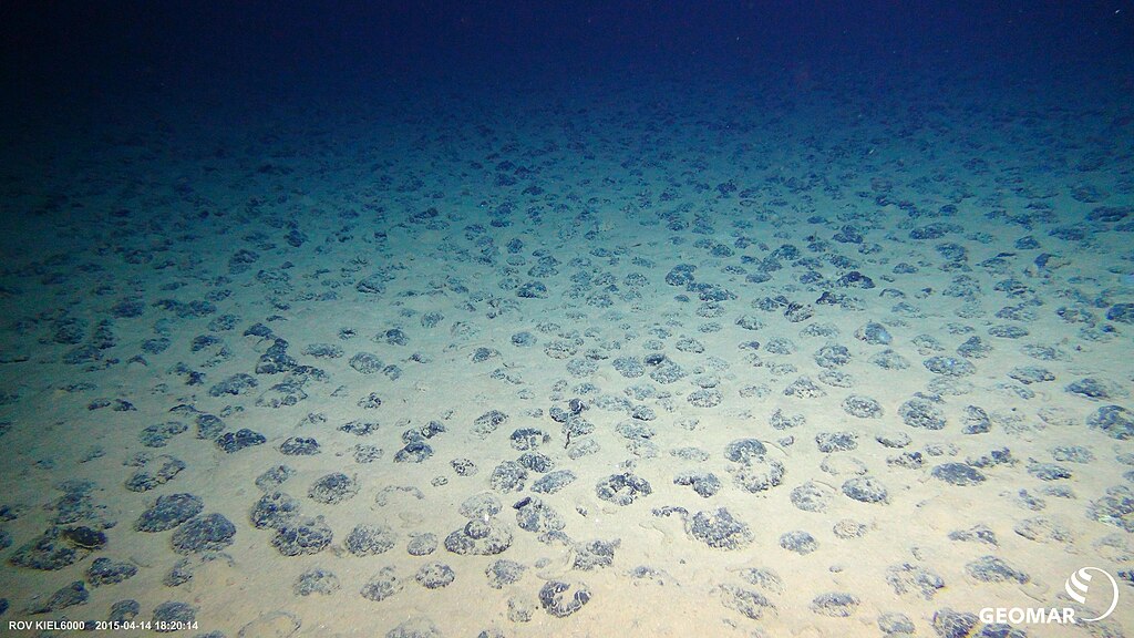 Manganese nodules on the sea floor of the Clarion-Clipperton area. Image taken using ROV KIEL 6000 during Expedition SO239 with FS SONNE in April 2015.