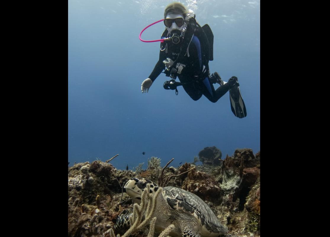 Mia DaPonte on a dive. A sea turtle is just below her.