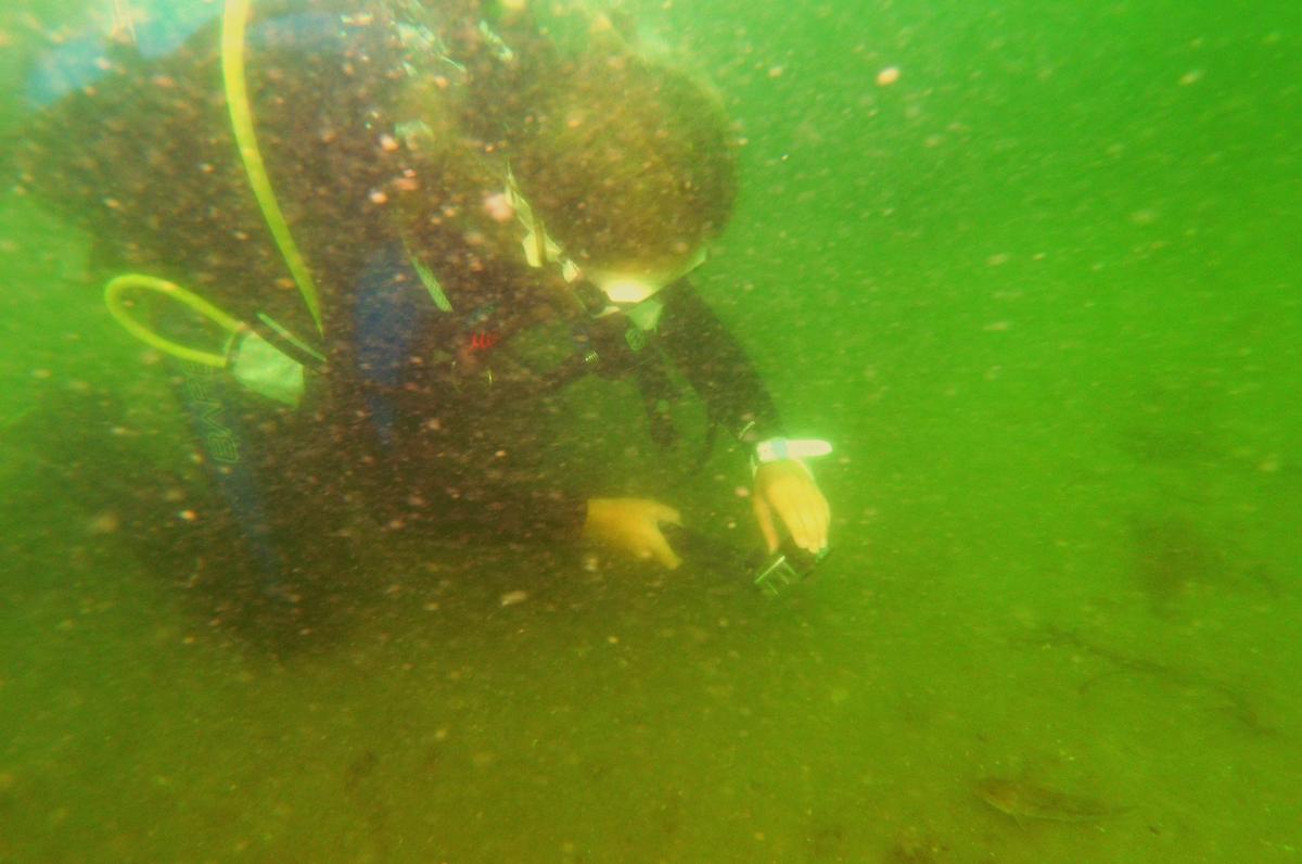 Mia DaPonte taking a picture on a dive with poor visibility in New England waters.