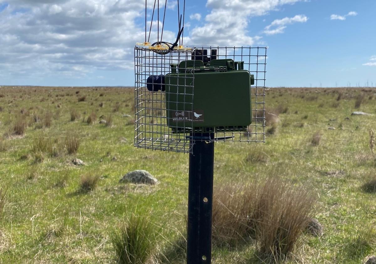 Song meter in a wire mesh cage attached to a pole in the middle of an area of grassland. Blue sky can be seen in the background.