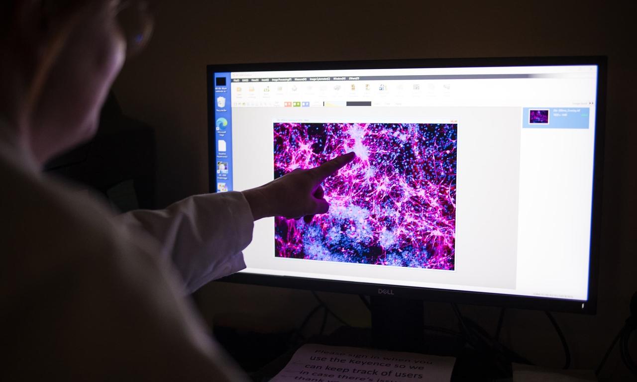 A person wearing a lab coat points at a complex image on a computer monitor in a darkened room.