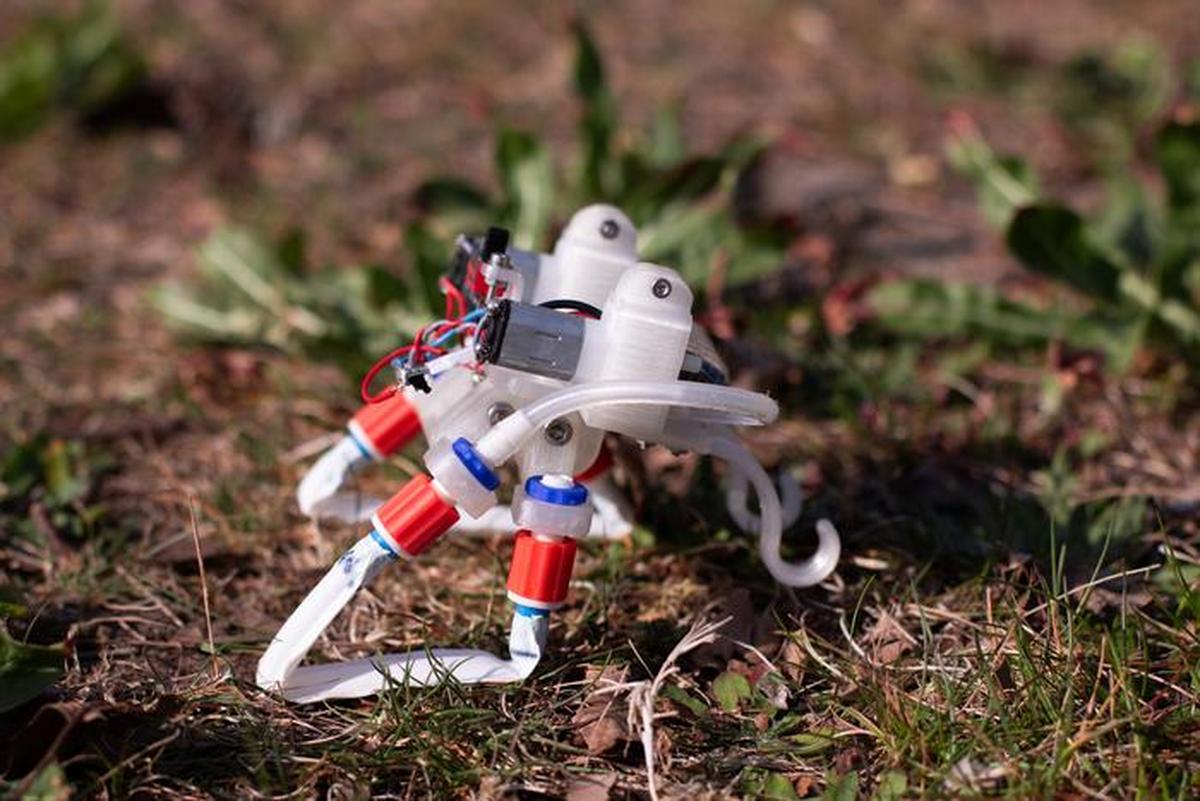 The soft robot driven by air pressure is seen walking on grass.