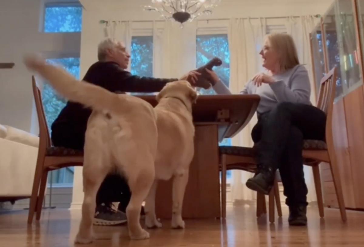 Screenshot from a video showing an example of a demonstration session that was carried out during the overhearing condition with a dog named Augie. A couple pass a stuffed dinosaur across a dining room table while a Labrador retriever looks on.