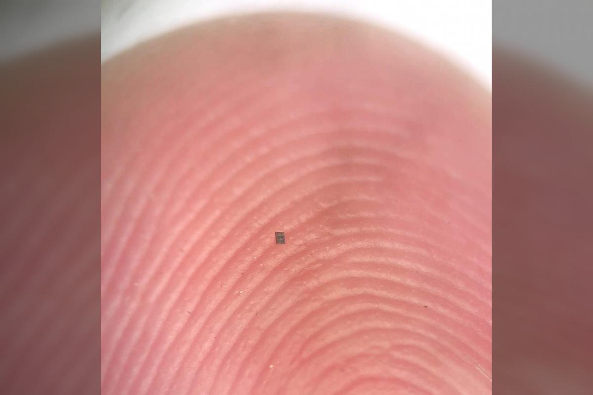 A microrobot, fully integrated with sensors and a computer, small enough to balance on the ridge of a fingerprint. The robot is visible as a speck on the tip of a finger.